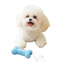 Pet Supplies