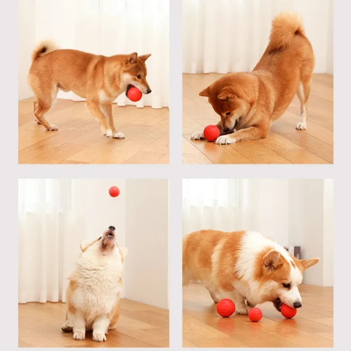 MADDEN S-XL Sizes Solid Rubber Balls Bouncy Ball Bite Resistant Indestructible Dog Training Interactive Ball Pet Toy Molar Ball - Image 4