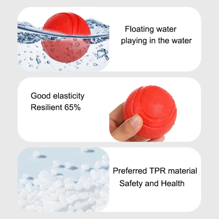 MADDEN S-XL Sizes Solid Rubber Balls Bouncy Ball Bite Resistant Indestructible Dog Training Interactive Ball Pet Toy Molar Ball - Image 5