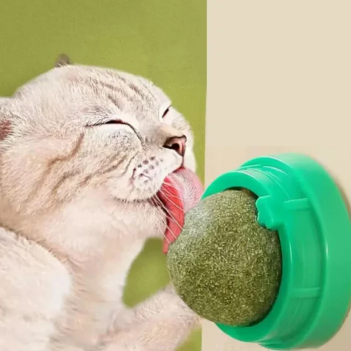 Natural Catnip Cat Wall Stick-on Ball Toy Scratchers Treats Healthy Natural Removes Balls to Promote Digestion Cat Grass Snack