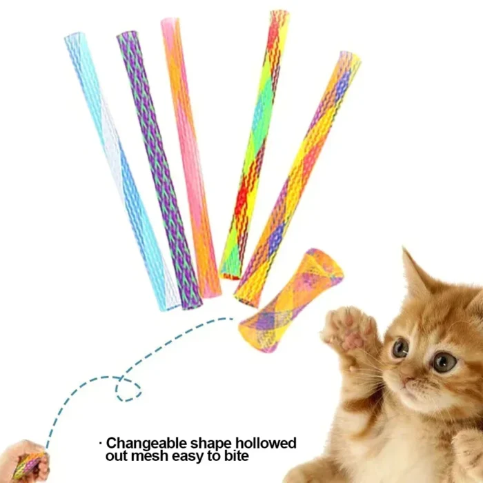 10pcs Cat Springs Toys Kitten Coil Spiral Pet Interactive Gauge Plastic Spring Toy Colorful Springs Cat Pet Tower Toy 고양이 - Image 6