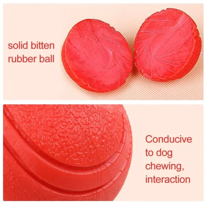 MADDEN S-XL Sizes Solid Rubber Balls Bouncy Ball Bite Resistant Indestructible Dog Training Interactive Ball Pet Toy Molar Ball - Image 2