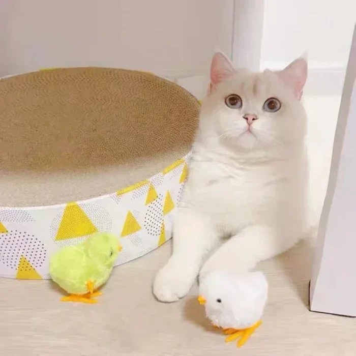 Cat Toy Wind Up Jumping Interactive Gifts Chicken Funny Pet Teaser Kittens Toys Pet Dog Supplies Cats Toys Games Accessories - Image 2