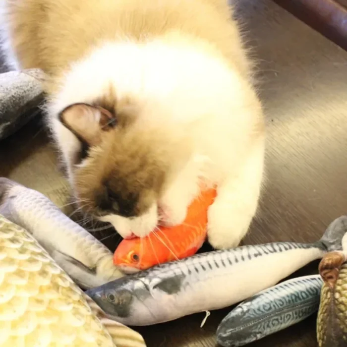Simulation Fish Cat Toys with Catnip Fish Shape Durable Cat Chew Toys Kitten Interactive Chase Toys Gifts Pet Supplies - Image 2