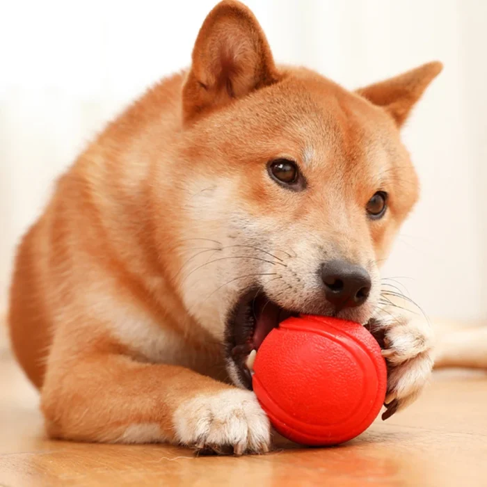 MADDEN S-XL Sizes Solid Rubber Balls Bouncy Ball Bite Resistant Indestructible Dog Training Interactive Ball Pet Toy Molar Ball - Image 3