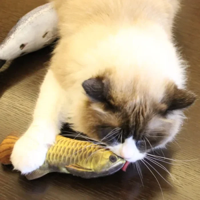 Simulation Fish Cat Toys with Catnip Fish Shape Durable Cat Chew Toys Kitten Interactive Chase Toys Gifts Pet Supplies - Image 4