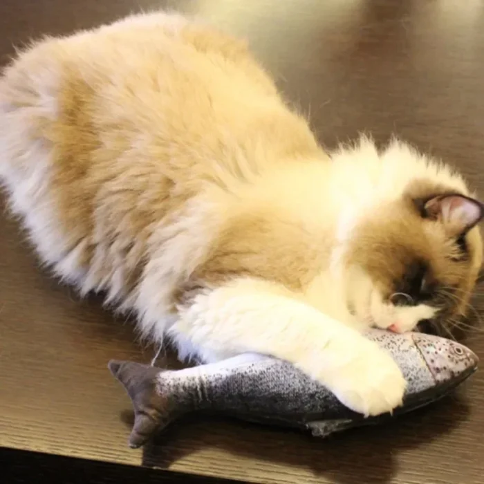 Simulation Fish Cat Toys with Catnip Fish Shape Durable Cat Chew Toys Kitten Interactive Chase Toys Gifts Pet Supplies - Image 3