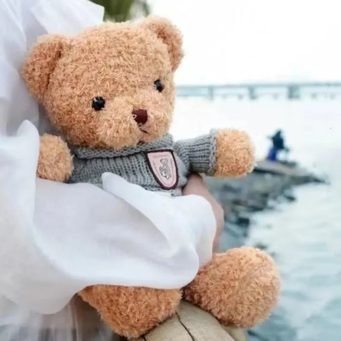 30cm40cm Plush Sweater Bear Toys Dolls Dolls Cute Dress Up Bear Birthday Gift Soothing sleep - Image 2