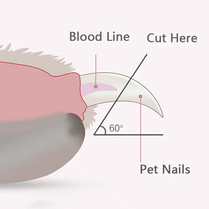 Professional Pet Nail Clippers with Led Light Pet Claw Grooming Scissors for Dogs Cats Small Animals Paw Nail Trimmer Pet Supply - Image 4
