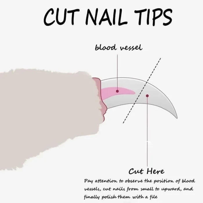 Pet Nail Clipper Dog Cat Nail Clippers Pet Claw Care Grooming Pet Supplies Pet Grooming когтерезка для котов - Image 3